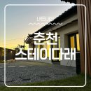 스테이 다래 이미지