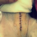 하트만 동물병원 이미지