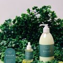 숲속의향기 이미지