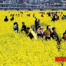 낙동강관리본부 대저생태공원 3 이미지