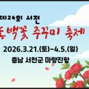 일원본-103 | 서천 동백꽃 주꾸미 축제, 직접 짜본 봄 여행 동선은?