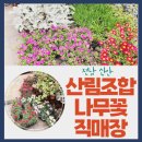 신안군산림조합