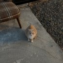 스테이외송 이미지