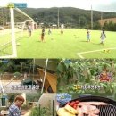 축구보는닭 이미지