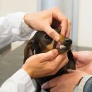 광진동물병원 이미지