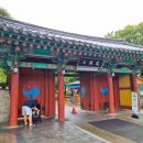 신라샘1 | 아이와 경주 여행 | 신라 왕릉 속으로! 대릉원·천마총 산책 코스