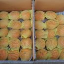 가영농장 이미지