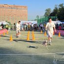 주식회사 하림펫푸드 이미지