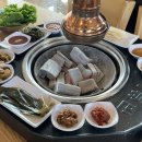 돼지짱 이미지