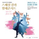 스페셜 갈라 발레콘서트 이미지