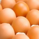 김옥순 농장 이미지