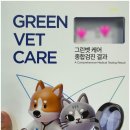 리치동물병원 | 송도 동물병원 투게더동물병원 솔직 방문 후기