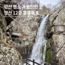 홍룡폭포(홍룡사) | 양산 숨겨진 벚꽃명소 아이랑 가볼만한 곳 양산12경 홍룡폭포