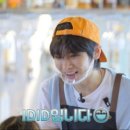 러블리 댕댕 이미지