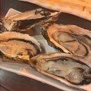 이야기가있는바다 | 울산삼산동횟집 추천, 독도새우 맛집 바다이야기 방문기!