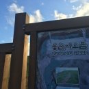 함덕 바당 이미지