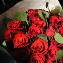 정기모임 드레스코드! 이미지