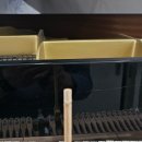 서울메네스음악학원 이미지