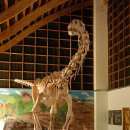 말라위사우루스 이미지