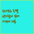 싱가포르 호텔 완벽 분석 샹그릴라부터 스탠다드까지 싱가포르여행 호텔리뷰 가성비
