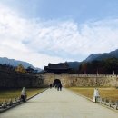 새재왕족발 이미지