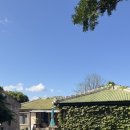 제주촌캉스 이미지