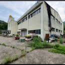 용암수지 이미지