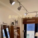플라비 가로수점