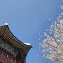 지에스25 당리배고개점 이미지