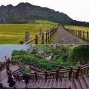 명품카센타 이미지