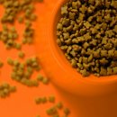 시흥24시센트럴동물의료센터 이미지