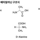 고강도 인터벌 운동에 도움을 주는 완충제 베타알라닌과 카르노신 이미지