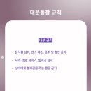 드림오브카 이미지