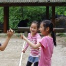 [살림이야기]와글와글놀이터이야기4-아이들이 맘껏 노는 놀이터 꾸리기(2014년9월) 이미지