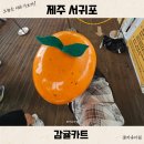 감귤박물관 위 | 제주 중문 액티비티 카트체험 감귤카트 가격 할인 1인 2인승 후기