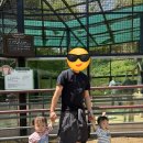 맘스아동복 - 달서구 월곡로 485 | [창고형아동복매장] 부산인근 맘스아동복 부산양산점 추천 + 후기