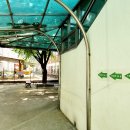 당감초등학교 병설유치원 이미지