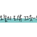 스테디무드 이미지