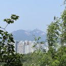 중랑캠핑숲공원 이미지