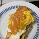 규범동물병원 | [15주차] 기말발표는 끝났는데