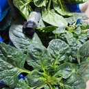 남해-312 이미지