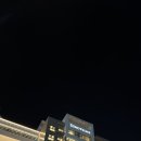 아트3룸앤빠 | [강원도/여행/리조트] 리뉴얼한 소노펠리체 델피노 골드 스위트 객실 후기! 가족여행으로 딱이야!