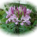 도천어린이집 이미지