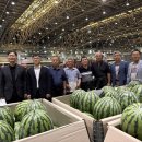 명성청과 이미지