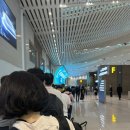 남경전자 | 중국 남경 난징 - 한국 인천 대한항공 KE102, KE101 이코노미석 왕복 탑승후기