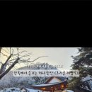 초리골 제빵소 네이버블로그
