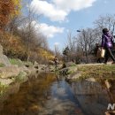 남산공원길1 이미지