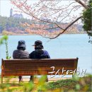 군산 가볼만한곳 벚꽃축제 &amp; 선유도 여행~