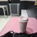 개꿈 | [혼자놀기]울산 남구 &#39;개꿈잼&#39; 애견카페 방문후기