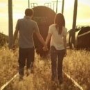 그루터기 이미지